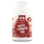 Healthwell Acetyl-L-karnitin